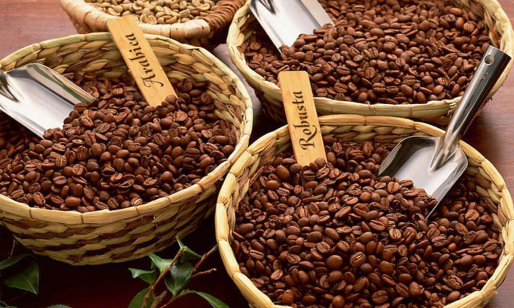 Bagaimana Menjadi Distributor Brand Kopi yang Sukses